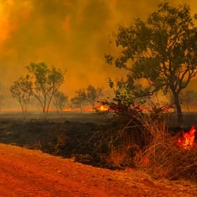 australia-wildfires-getty-145649279-rec.jpg australia-wildfires-getty-145649279-rec.jpg