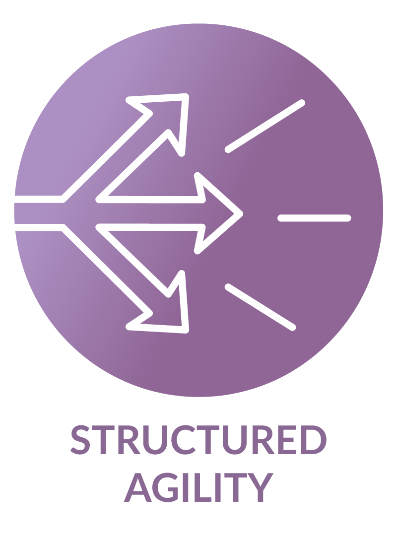 careers-icon-structured-agility-CH11647800