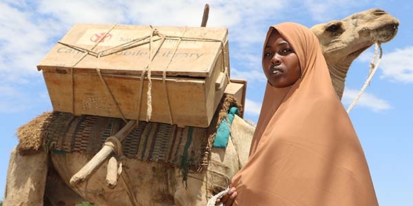 A girl in Ethiopia stands next to a camel carrying books as part of a mobile camel library. A girl in Ethiopia stands next to a camel carrying books as part of a mobile camel library.