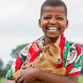 gift-catalog-boy-goat-rec.jpg gift-catalog-boy-goat-rec.jpg