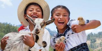 A great way to donate! Chickens and goats give much-needed protein to help maintain the health of children. When additional animals arrive, so do more milk and eggs, giving families a way to earn income. Photo Credit: Save the Children 2016. A great way to donate! Chickens and goats give much-needed protein to help maintain the health of children. When additional animals arrive, so do more milk and eggs, giving families a way to earn income. Photo Credit: Save the Children 2016.