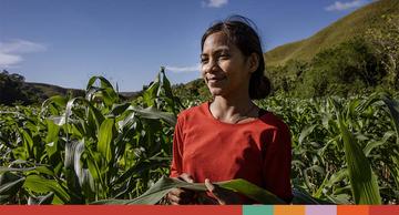 indonesia-ch11266990-rec indonesia-ch11266990-rec