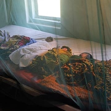 Babies sleeping under protective mosquito nets Babies sleeping under protective mosquito nets