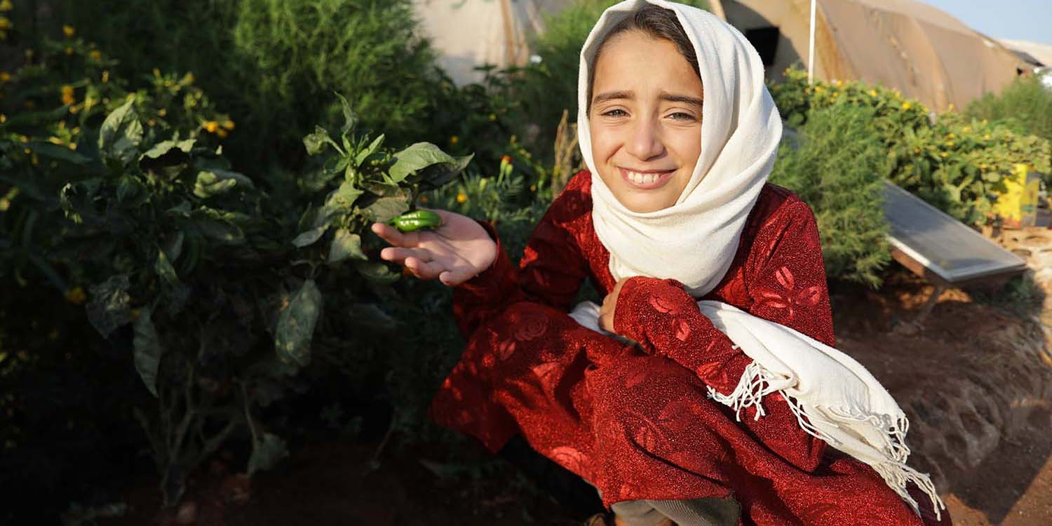 Syria, a little girl kneels showing off vegetables she's grown Syria, a little girl kneels showing off vegetables she's grown