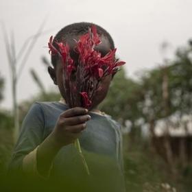 Uganda, a little girl holds flowers in front of her face. Uganda, a little girl holds flowers in front of her face.