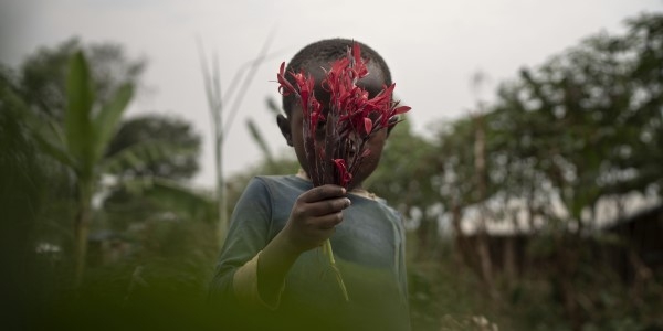 Uganda, a little girl holds flowers in front of her face. Uganda, a little girl holds flowers in front of her face.
