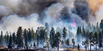 An image of the U.S. wildfires from 2011. An image of the U.S. wildfires from 2011.