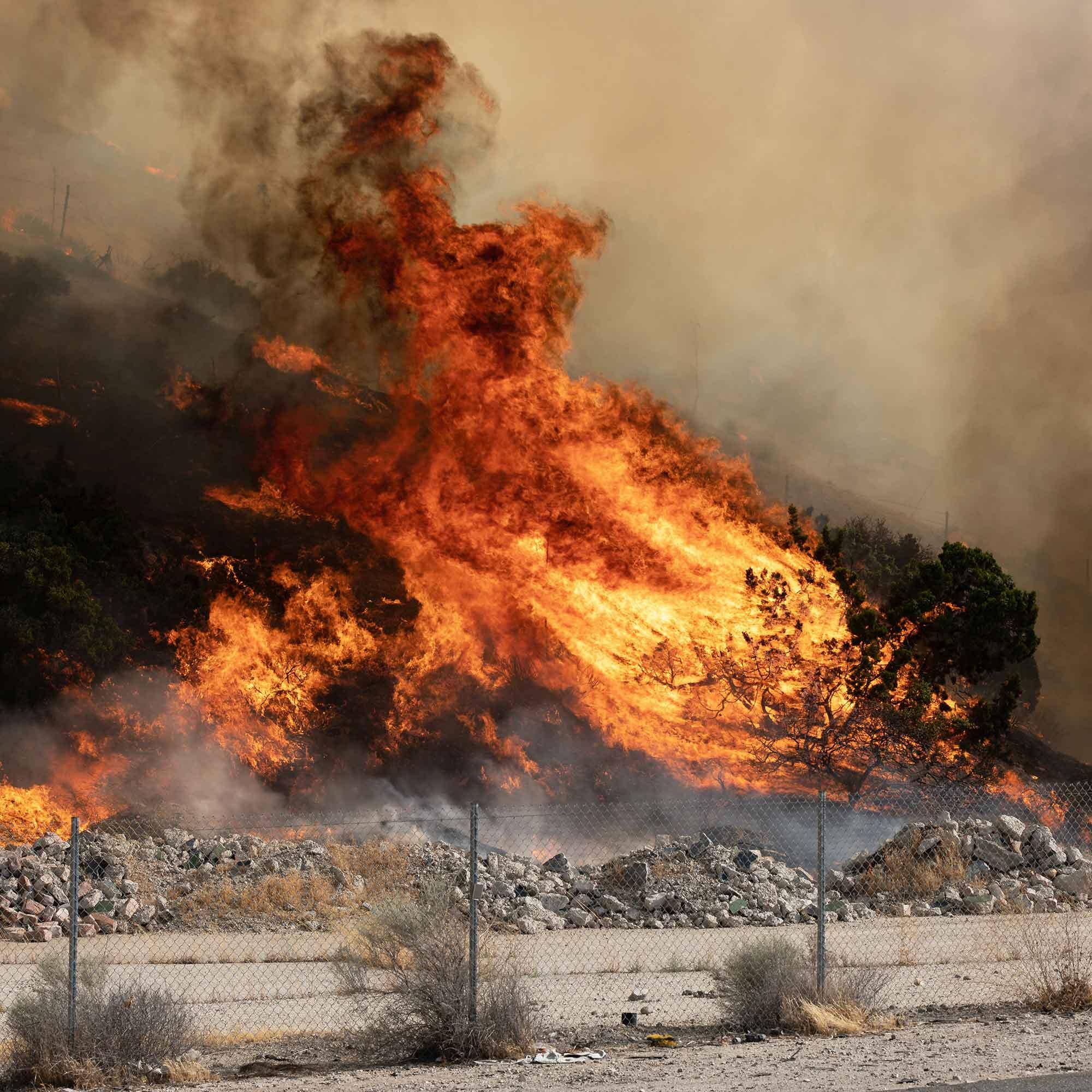 Wildfire Square Image